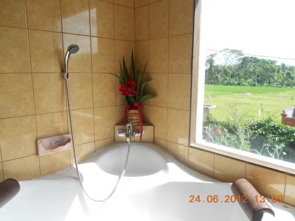 Villa Jasmine B&B Ubud Zewnętrze zdjęcie